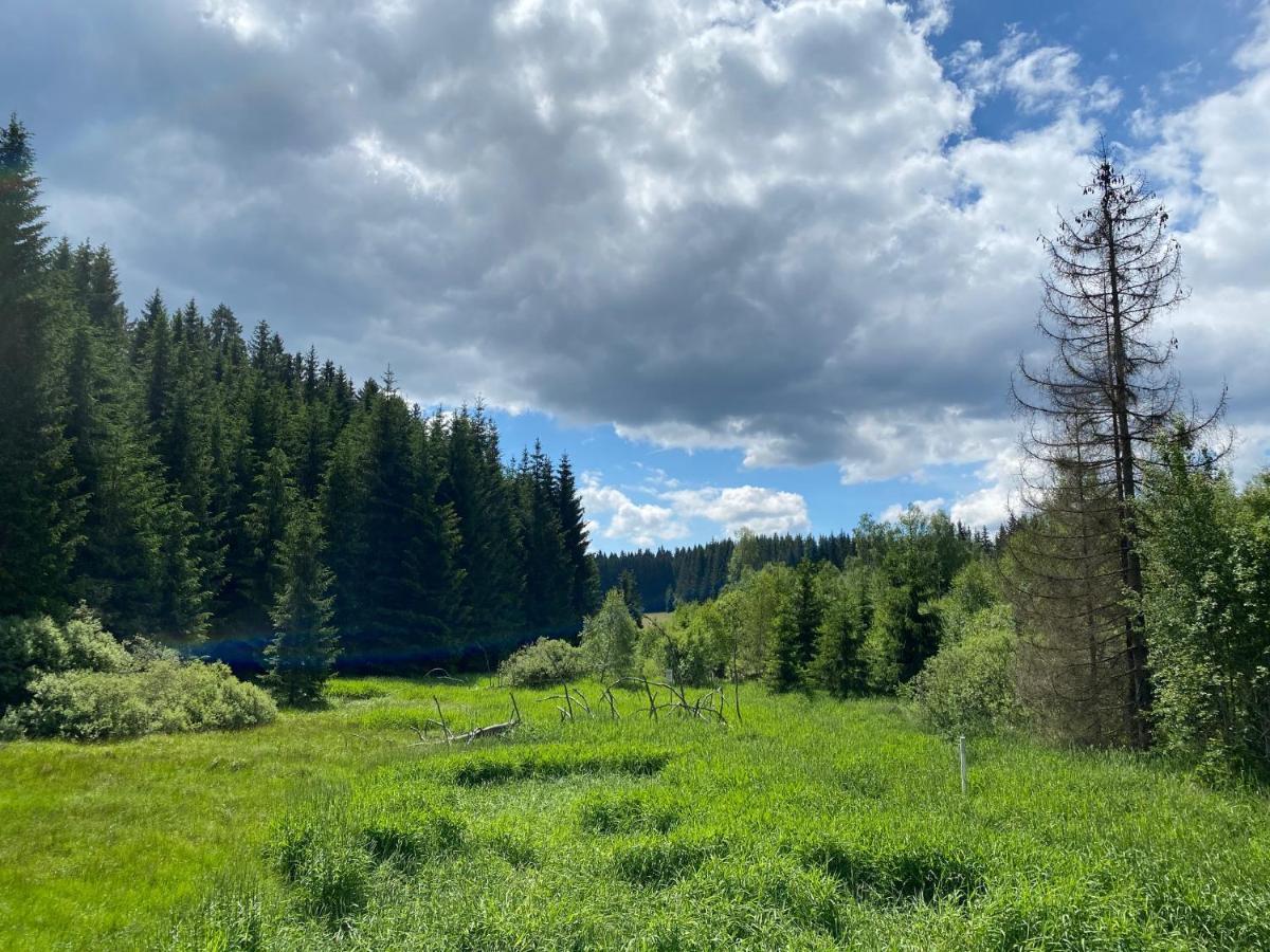 Wellness Hotel Florián České Žleby Stožec Esterno foto