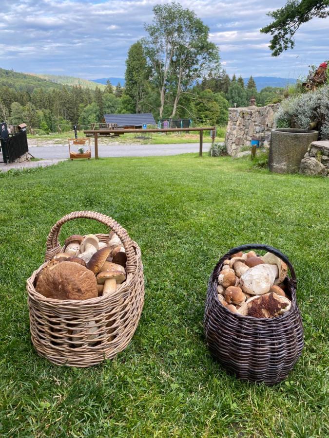 Wellness Hotel Florián České Žleby Stožec Esterno foto