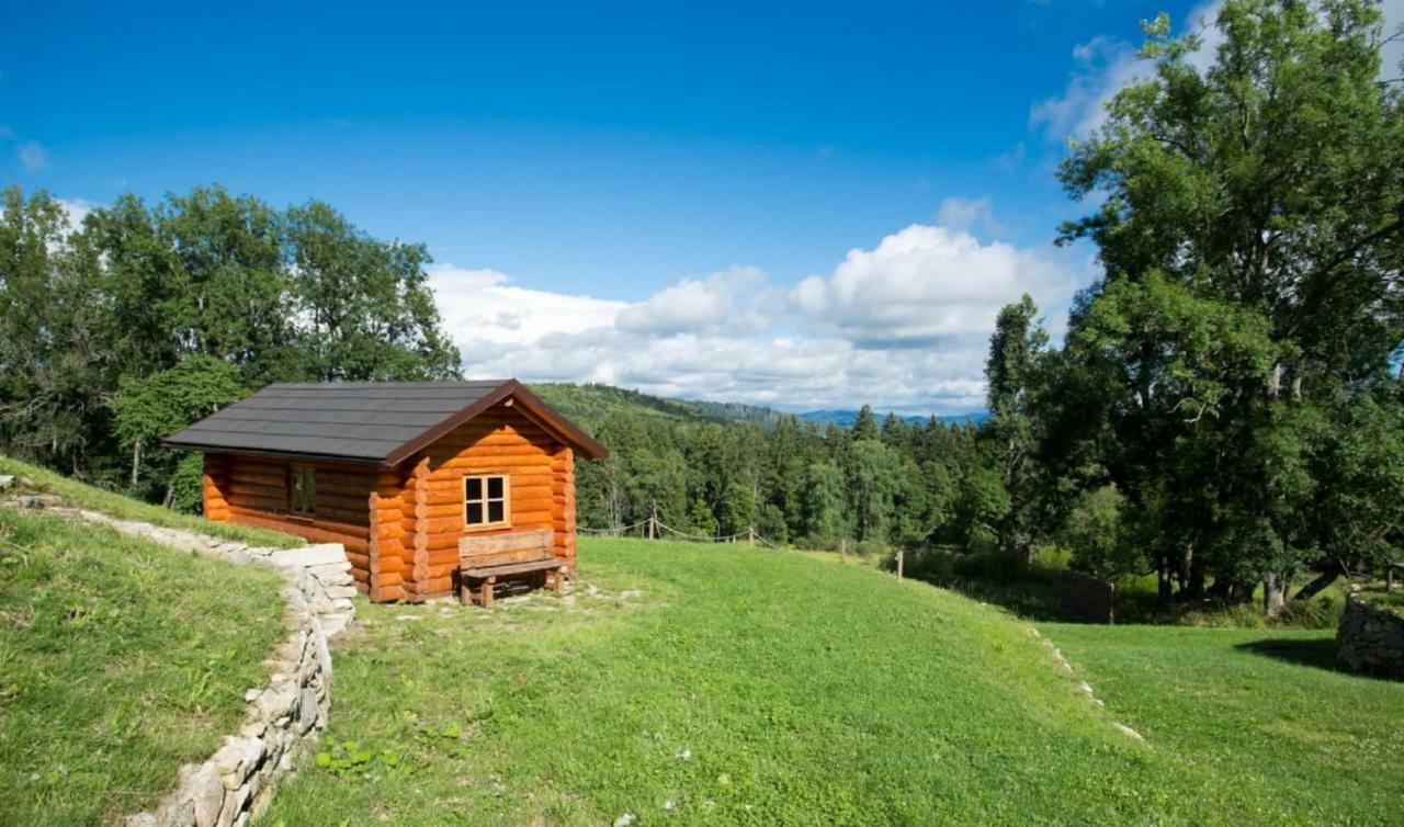 Wellness Hotel Florián České Žleby Stožec Esterno foto